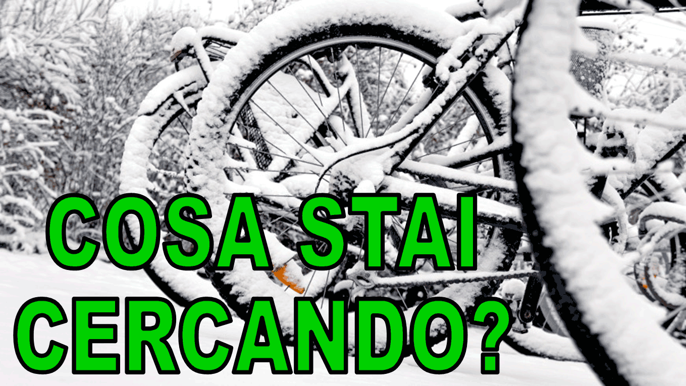 ricerca nel sito