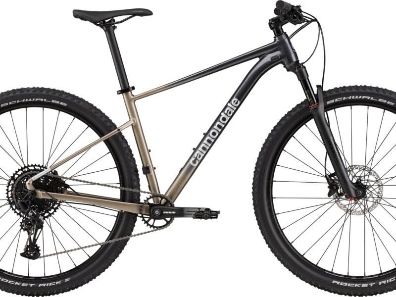 CANNONDALE TRAIL SL 1