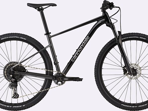 CANNONDALE TRAIL SL 3